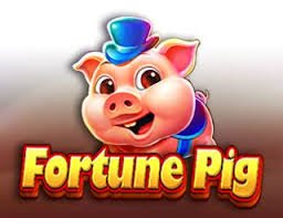 Privasi akun saat membaca bonus tigerjp